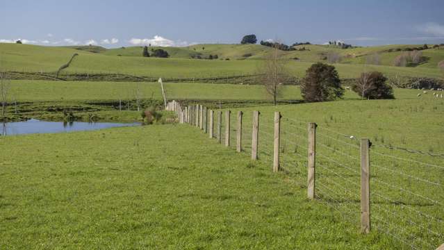 Burnetts Road Masterton_3