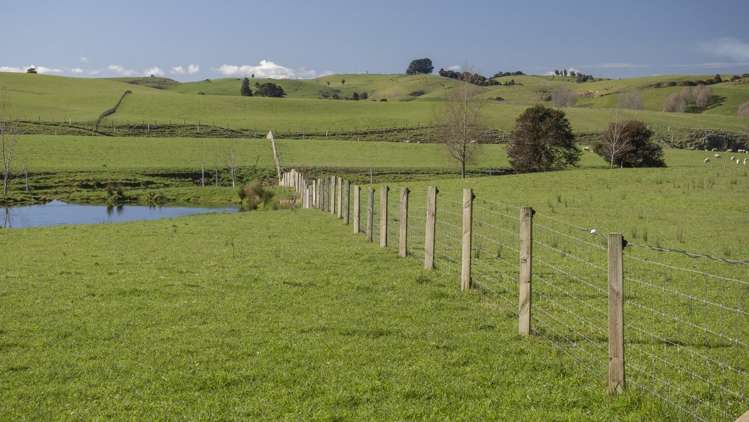 Burnetts Road Masterton_3