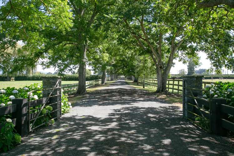 441 Taihoa South Road Matamata_1