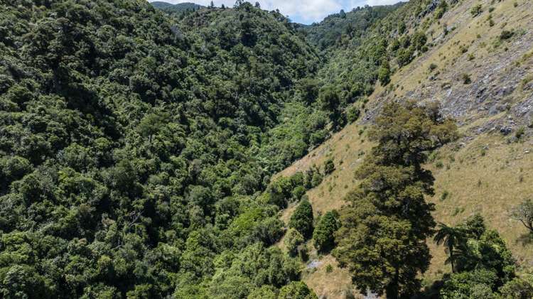 Lot 1 Rameka Creek Road Takaka_18