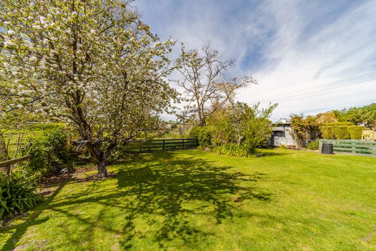 113 Porangahau Road Waipukurau and Surrounds_21