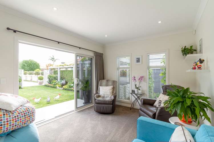 23a Pembroke Street Taradale_7