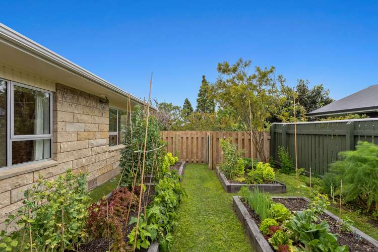 223 King Street Whakatane_11