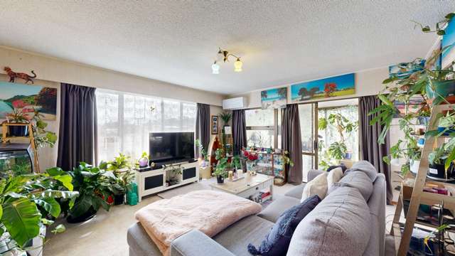 59A Willoughby Street Paeroa_2