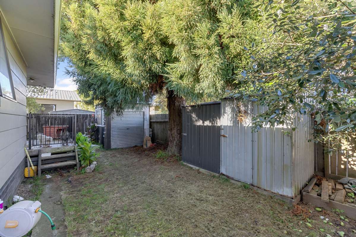 25B Dominion Road_4