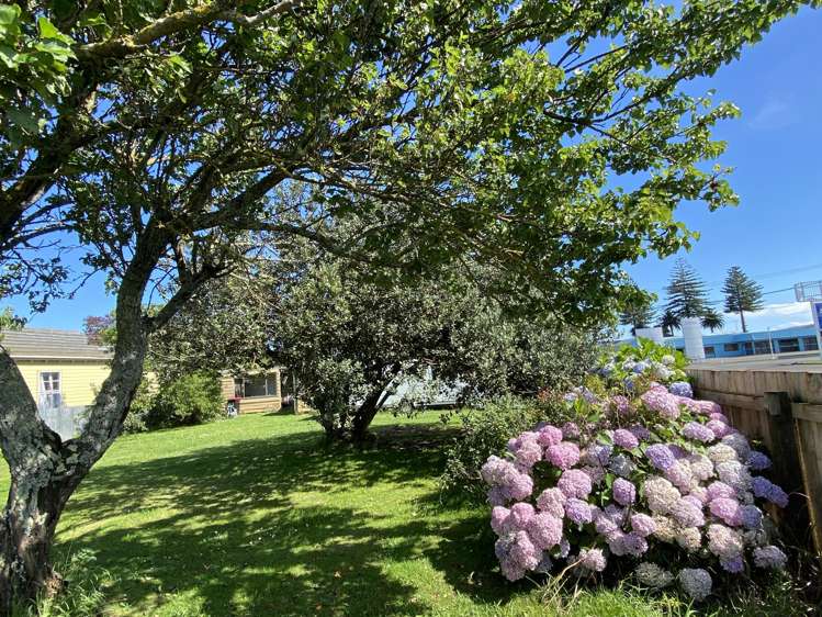 21 Hunter-brown Street Wairoa_14