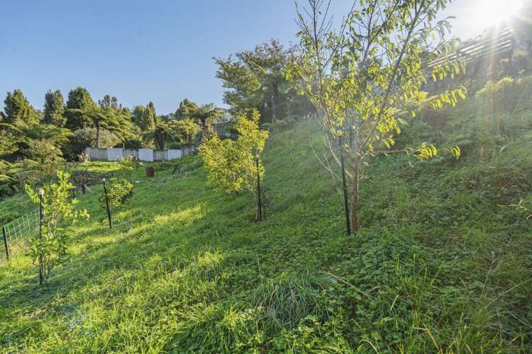 5 Harriet Place Spotswood_20