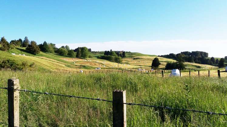 86 Mairoa Road Piopio_11