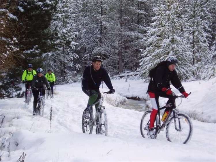 13a Channel Road Naseby_11