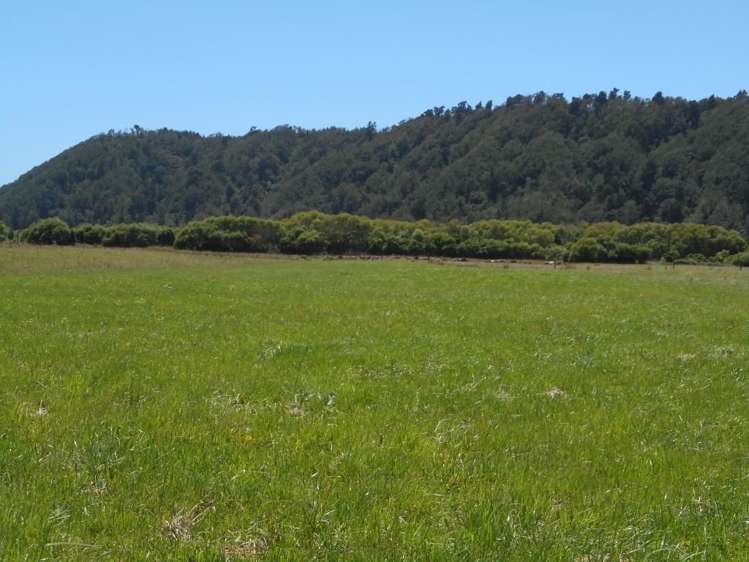 193 Victoria Road Devonport_10