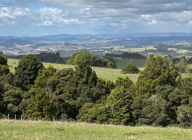 Expansive Panoramas