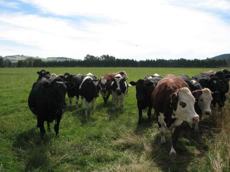 107 West Road Milton_5