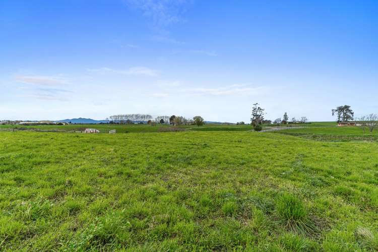 230 Scott Road Morrinsville_11
