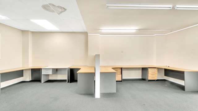 19 Saxon Street Phillipstown_3