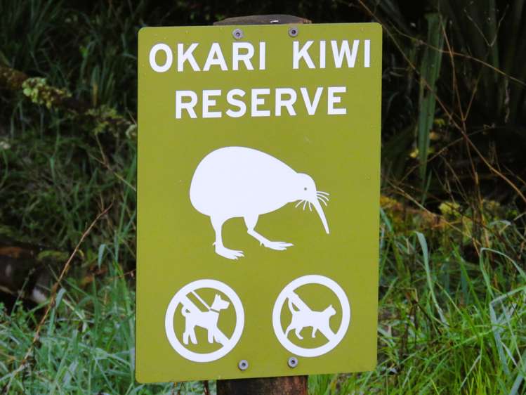 5/1290 Tanglefern Row Charleston_3