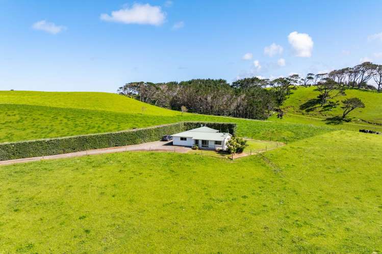 Lot 5 Mahuta Road Dargaville_12