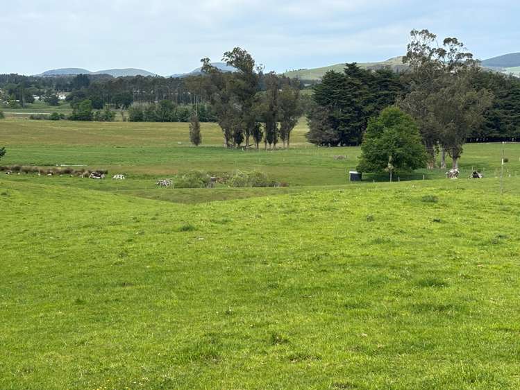 Blacks Road Palmerston_4