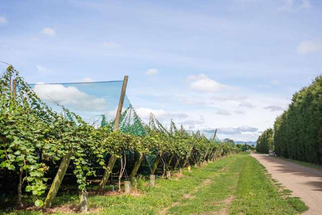 163C Western Drain Road Edgecumbe_4