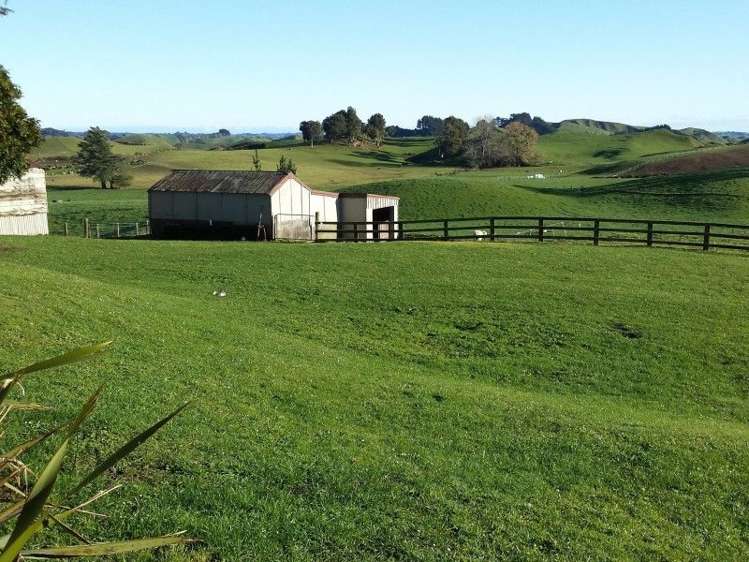 103 Kupara Road Ratapiko_14