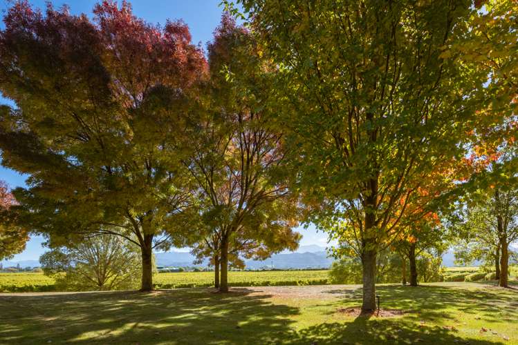 3 Fareham Lane Renwick_9