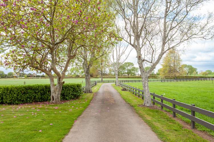 17 Haumia Road Morrinsville_22