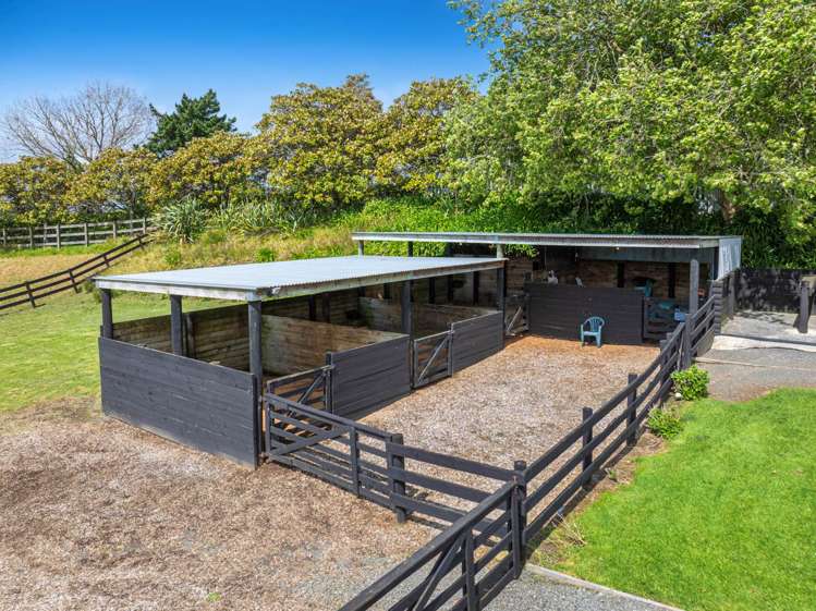 298 Rimmer Road Helensville_9
