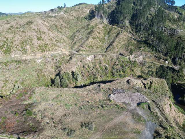 Cnr Whanganui River Road and Otunui South Road Taumarunui_4