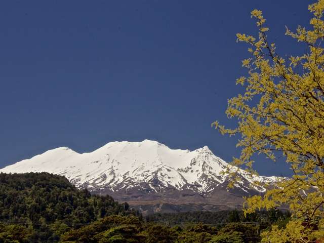 21b Moore Street Ohakune_1