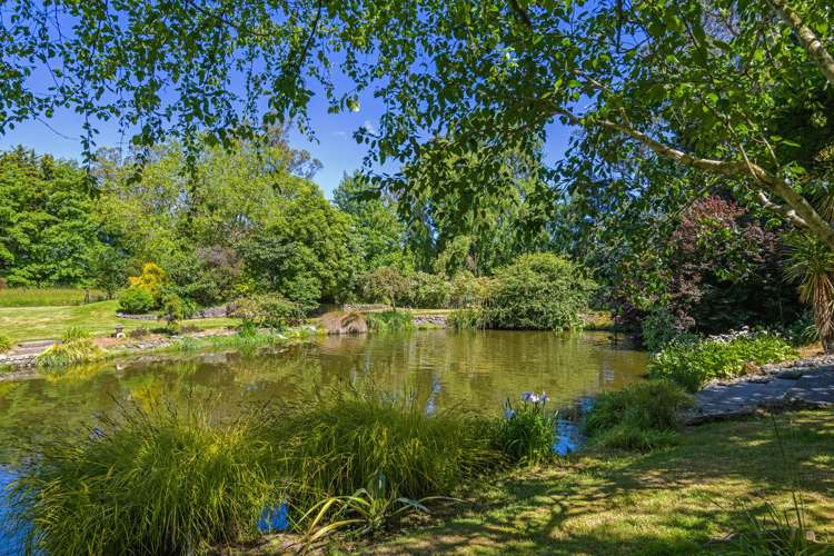 323 Reid Line East Colyton_44