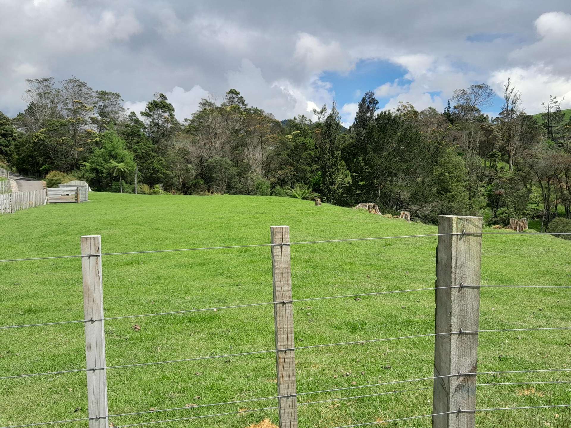 120B Bulltown Road Waihi_0