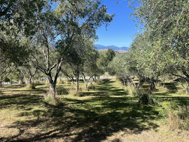 127D Ridgeview Road Redwood Valley_6