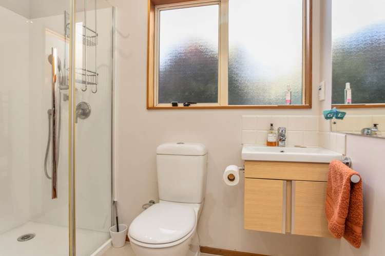 55a Dexter Avenue Mount Eden_17