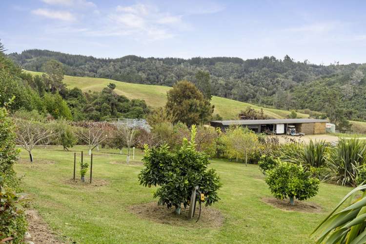 550 Redwood Valley Road Redwood Valley_18