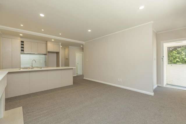 106 Manukau Road Epsom_4