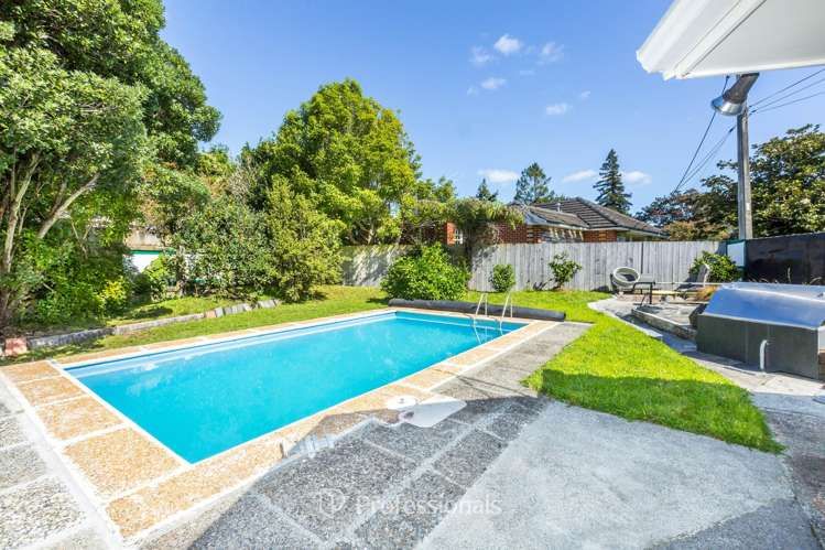 21 Akatarawa Road Brown Owl_15