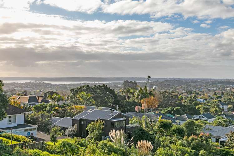 24 Summit Drive Mount Albert_3