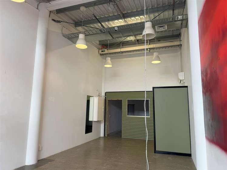 8 Lombard Lane Te Aro_4