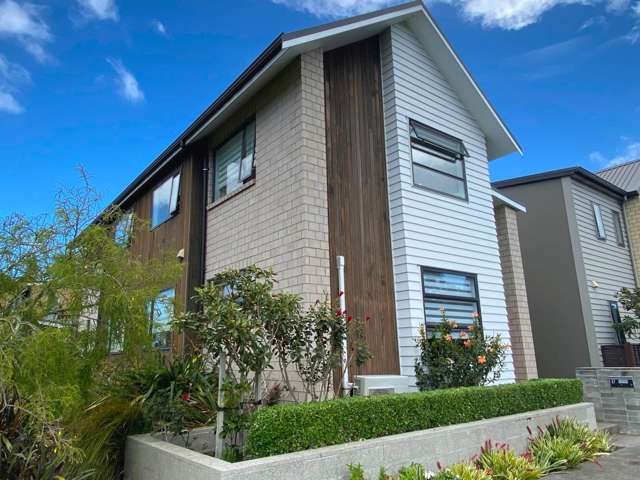 17 Harvard Street Hobsonville_2