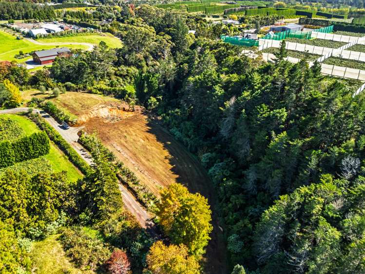 Lot 3/26 Tanekaha Lane Kerikeri_7