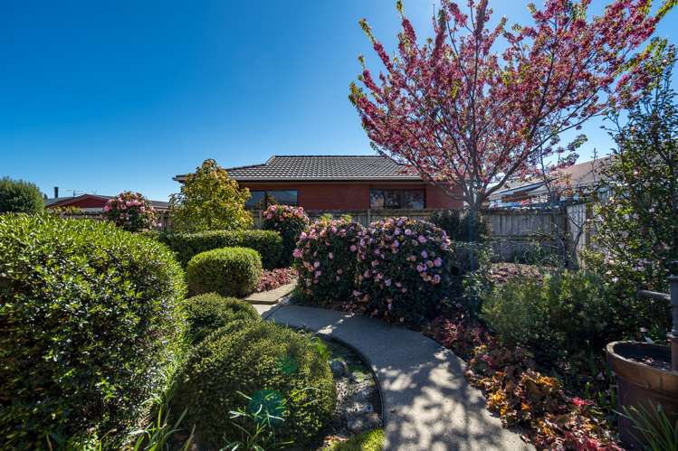 13b Maple Grove Mosgiel_4