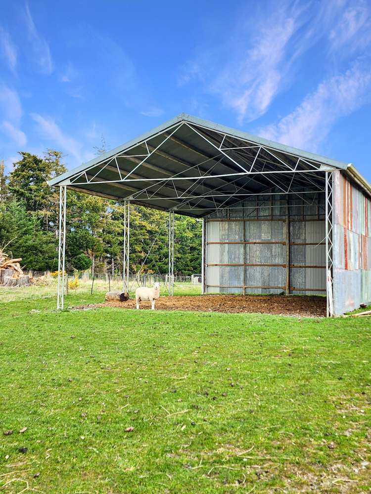 267 (Farm) Wehenga Road Hindon_12