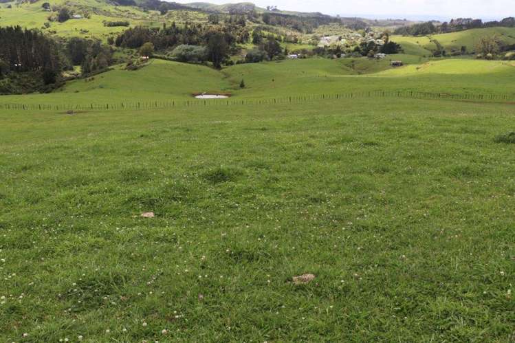 25 Gully Road Pukemiro_12