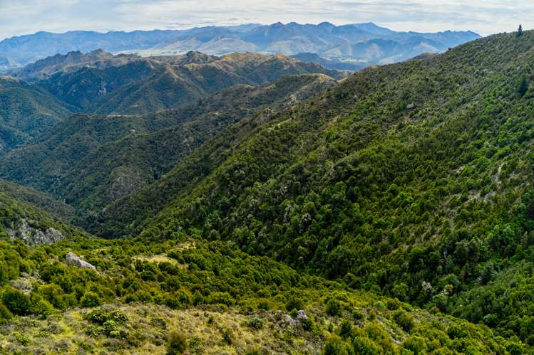 20 Moana Road Kaikoura_13