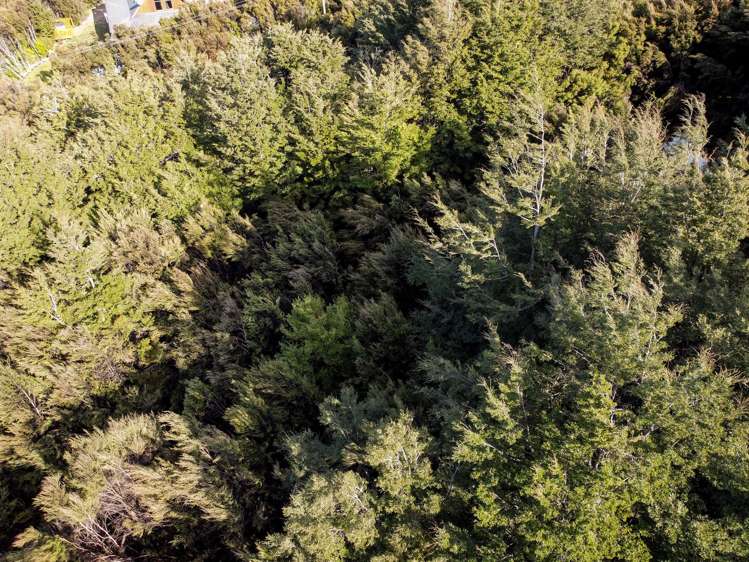 50 Terako Terrace Lyford_8