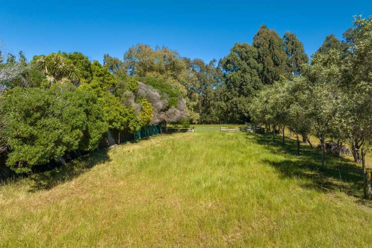 86 Rarangi Road Rarangi_26