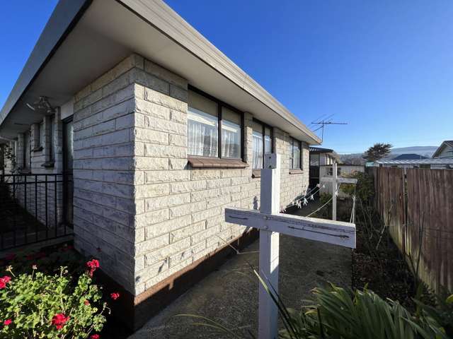 31d Atkinson Street South Dunedin_2