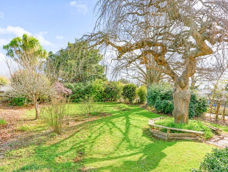 428 Thames Street Morrinsville_25