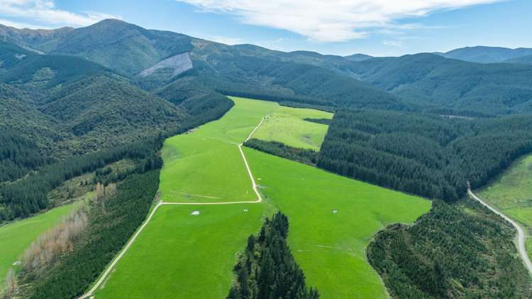 Quarry Road Loburn_1