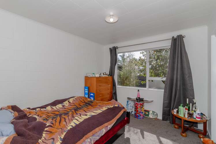 2/5 Rochester Street Tamatea_9