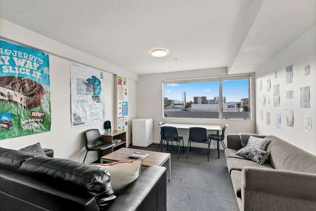 3h/242 Taranaki Street Mount Cook_1